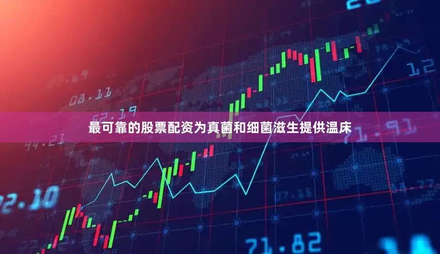 最可靠的股票配资为真菌和细菌滋生提供温床
