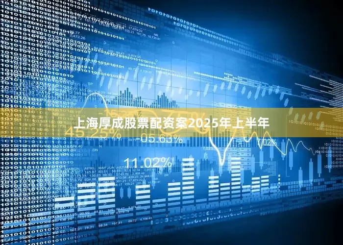 上海厚成股票配资案　　2025年上半年